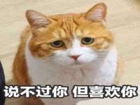 哈尔滨市韩香缘炉具有限公司