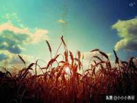 哈尔滨市韩香缘炉具有限公司