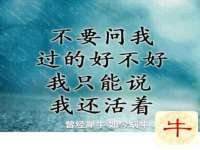 哈尔滨市韩香缘炉具有限公司