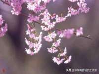哈尔滨市韩香缘炉具有限公司