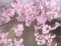哈尔滨市韩香缘炉具有限公司