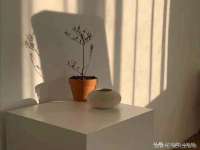 哈尔滨市韩香缘炉具有限公司