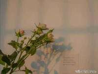哈尔滨市韩香缘炉具有限公司