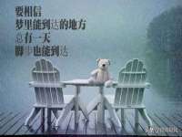 哈尔滨市韩香缘炉具有限公司