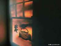 哈尔滨市韩香缘炉具有限公司