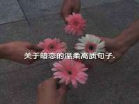哈尔滨市韩香缘炉具有限公司