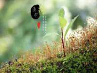 哈尔滨市韩香缘炉具有限公司