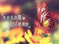 哈尔滨市韩香缘炉具有限公司