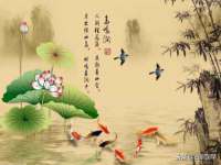 哈尔滨市韩香缘炉具有限公司