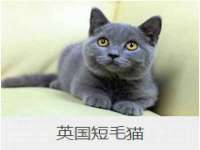 哈尔滨市韩香缘炉具有限公司