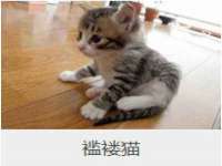 哈尔滨市韩香缘炉具有限公司
