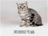 哈尔滨市韩香缘炉具有限公司