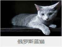 哈尔滨市韩香缘炉具有限公司