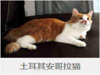 哈尔滨市韩香缘炉具有限公司