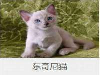 哈尔滨市韩香缘炉具有限公司