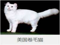 哈尔滨市韩香缘炉具有限公司