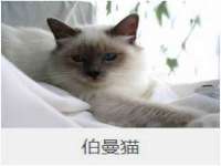 哈尔滨市韩香缘炉具有限公司