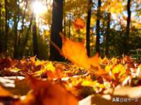 哈尔滨市韩香缘炉具有限公司