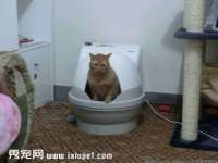 哈尔滨市韩香缘炉具有限公司