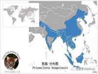 哈尔滨市韩香缘炉具有限公司