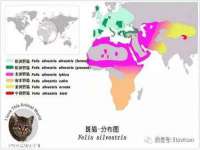 哈尔滨市韩香缘炉具有限公司