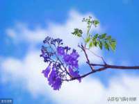 哈尔滨市韩香缘炉具有限公司
