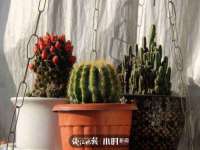 哈尔滨市韩香缘炉具有限公司