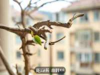 哈尔滨市韩香缘炉具有限公司