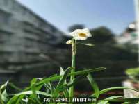 哈尔滨市韩香缘炉具有限公司