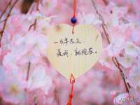 哈尔滨市韩香缘炉具有限公司