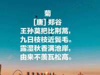 哈尔滨市韩香缘炉具有限公司