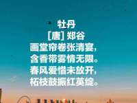 哈尔滨市韩香缘炉具有限公司