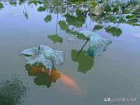 哈尔滨市韩香缘炉具有限公司