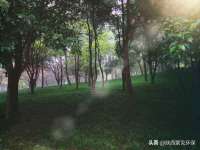 哈尔滨市韩香缘炉具有限公司