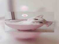 哈尔滨市韩香缘炉具有限公司