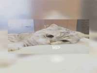 哈尔滨市韩香缘炉具有限公司