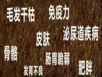哈尔滨市韩香缘炉具有限公司