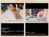 哈尔滨市韩香缘炉具有限公司