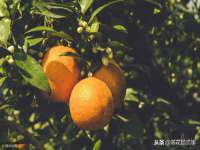 哈尔滨市韩香缘炉具有限公司