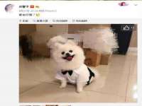 哈尔滨市韩香缘炉具有限公司