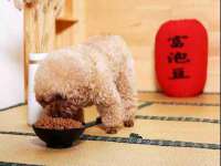 哈尔滨市韩香缘炉具有限公司