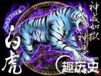 哈尔滨市韩香缘炉具有限公司