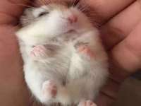 哈尔滨市韩香缘炉具有限公司