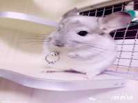 哈尔滨市韩香缘炉具有限公司