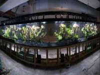 哈尔滨市韩香缘炉具有限公司