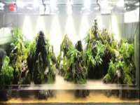 哈尔滨市韩香缘炉具有限公司