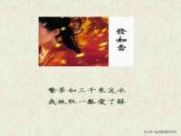 哈尔滨市韩香缘炉具有限公司