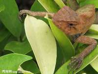 哈尔滨市韩香缘炉具有限公司