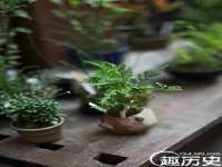 哈尔滨市韩香缘炉具有限公司