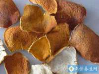 哈尔滨市韩香缘炉具有限公司
